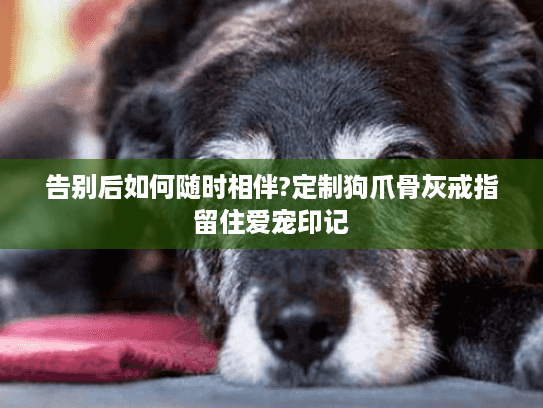 告别后如何随时相伴?定制狗爪骨灰戒指留住爱宠印记 告别后如何随时相伴?定制狗爪骨灰戒指留住爱宠印记