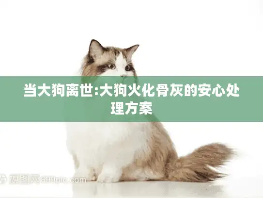 当大狗离世:大狗火化骨灰的安心处理方案