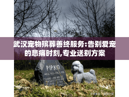武汉宠物殡葬善终服务:告别爱宠的悲痛时刻,专业送别方案