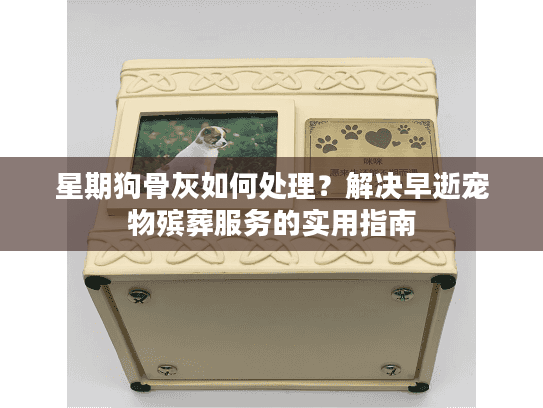 星期狗骨灰如何处理?解决早逝宠物殡葬服务的实用指南 星期狗骨灰如何处理?解决早逝宠物殡葬服务的实用指南