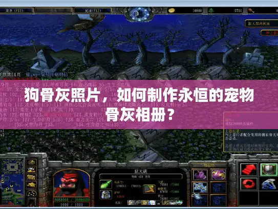 狗骨灰照片，如何制作永恒的宠物骨灰相册？