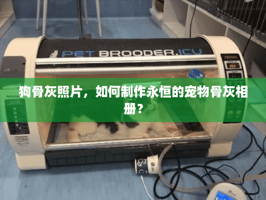 狗骨灰照片，如何制作永恒的宠物骨灰相册？
