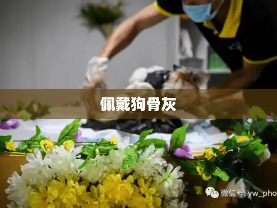 佩戴狗骨灰