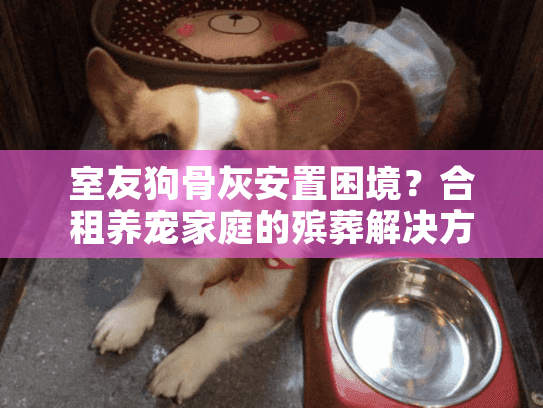 室友狗骨灰安置困境?合租养宠家庭的殡葬解决方案 室友狗骨灰安置困境?合租养宠家庭的殡葬解决方案