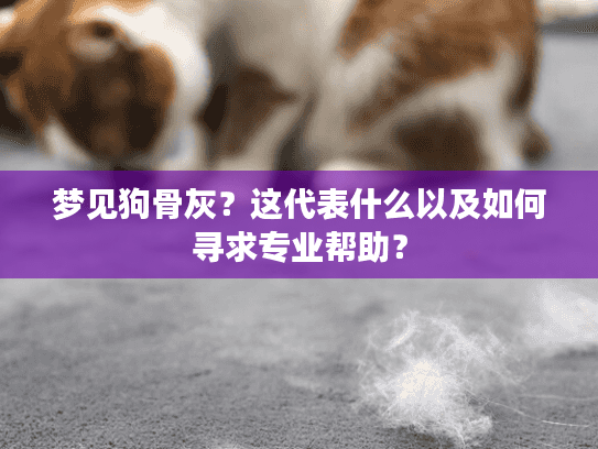 梦见狗骨灰?这代表什么以及如何寻求专业帮助? 梦见狗骨灰?这代表什么以及如何寻求专业帮助?