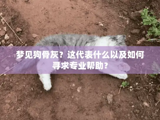 梦见狗骨灰?这代表什么以及如何寻求专业帮助? 梦见狗骨灰?这代表什么以及如何寻求专业帮助?