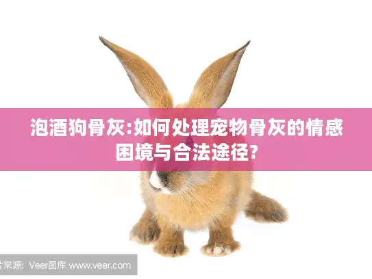泡酒狗骨灰:如何处理宠物骨灰的情感困境与合法途径?
