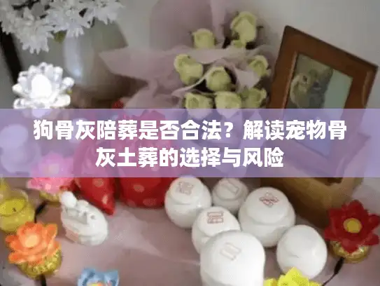 狗骨灰陪葬是否合法？解读宠物骨灰土葬的选择与风险