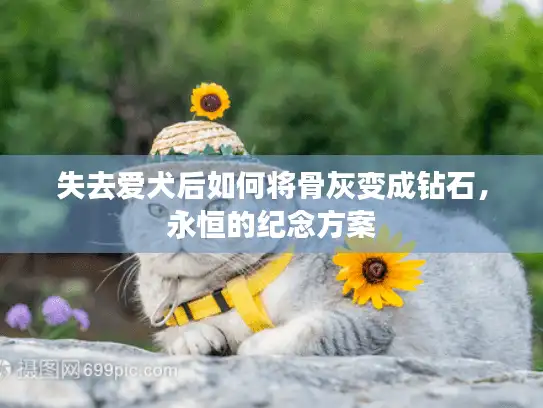 失去爱犬后如何将骨灰变成钻石，永恒的纪念方案