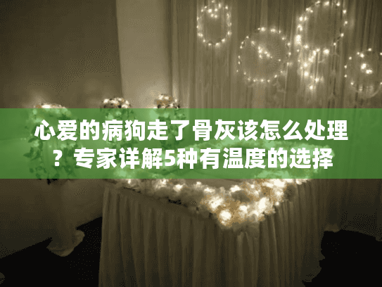 心爱的病狗走了骨灰该怎么处理？专家详解5种有温度的选择