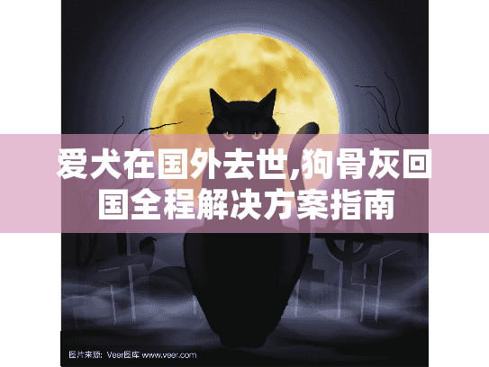 爱犬在国外去世,狗骨灰回国全程解决方案指南