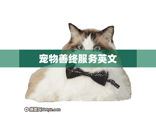 宠物善终服务英文 宠物善终服务英文