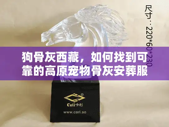 狗骨灰西藏，如何找到可靠的高原宠物骨灰安葬服务？
