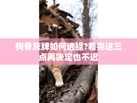 狗骨灰牌如何选择?看完这三点再决定也不迟