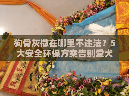 狗骨灰撒在哪里不违法？5大安全环保方案告别爱犬