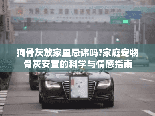 狗骨灰放家里忌讳吗?家庭宠物骨灰安置的科学与情感指南