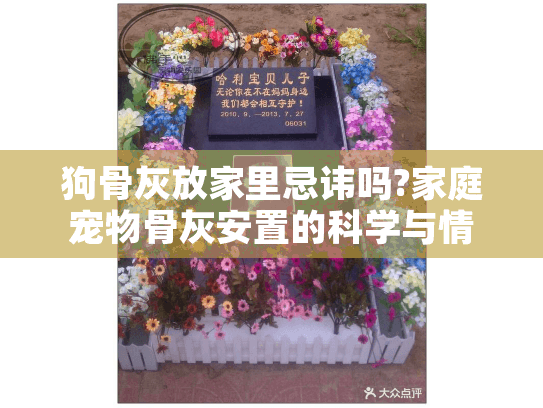 狗骨灰放家里忌讳吗?家庭宠物骨灰安置的科学与情感指南