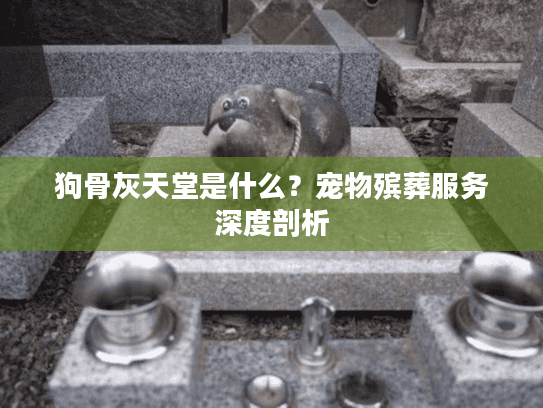 狗骨灰天堂是什么？宠物殡葬服务深度剖析