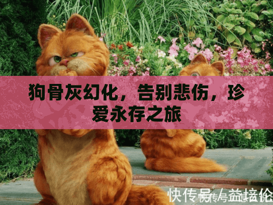 狗骨灰幻化，告别悲伤，珍爱永存之旅