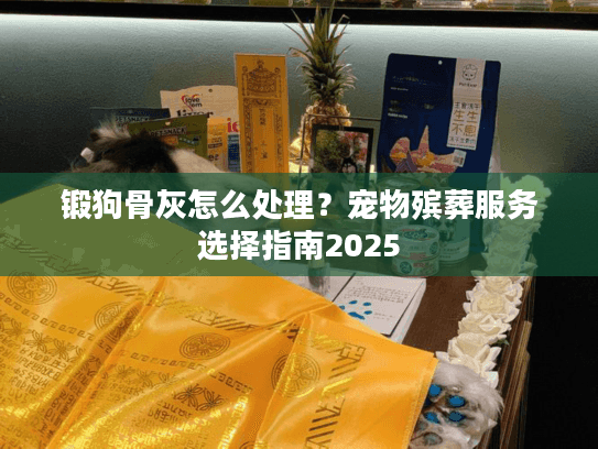 锻狗骨灰怎么处理？宠物殡葬服务选择指南2025