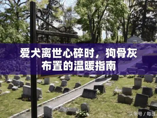 爱犬离世心碎时，狗骨灰布置的温暖指南