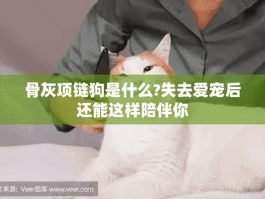 骨灰项链狗是什么?失去爱宠后还能这样陪伴你 骨灰项链狗是什么?失去爱宠后还能这样陪伴你