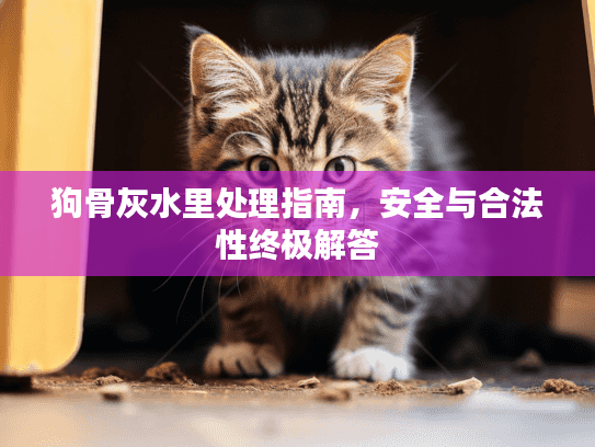 狗骨灰水里处理指南，安全与合法性终极解答