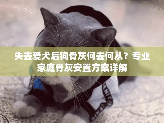 失去爱犬后狗骨灰何去何从?专业家庭骨灰安置方案详解 失去爱犬后狗骨灰何去何从?专业家庭骨灰安置方案详解