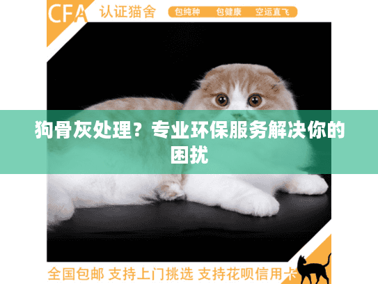 狗骨灰处理？专业环保服务解决你的困扰