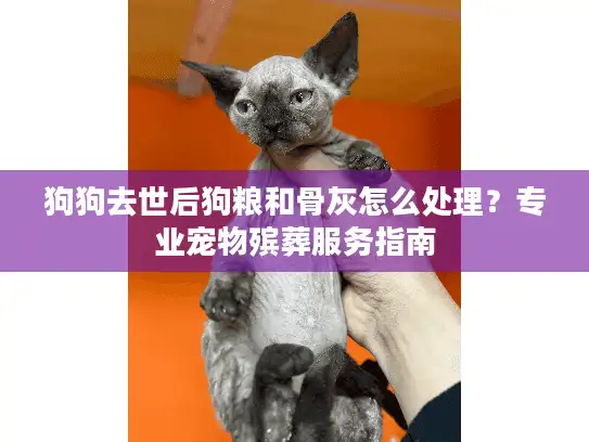 狗狗去世后狗粮和骨灰怎么处理？专业宠物殡葬服务指南