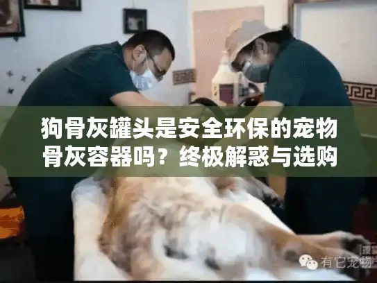 狗骨灰罐头是安全环保的宠物骨灰容器吗？终极解惑与选购指南