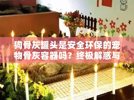 狗骨灰罐头是安全环保的宠物骨灰容器吗？终极解惑与选购指南