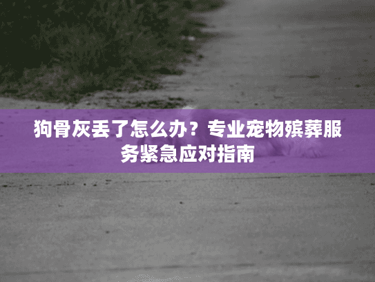 狗骨灰丢了怎么办？专业宠物殡葬服务紧急应对指南