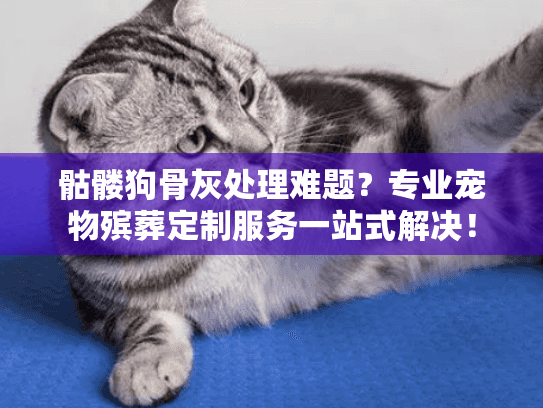 骷髅狗骨灰处理难题？专业宠物殡葬定制服务一站式解决！