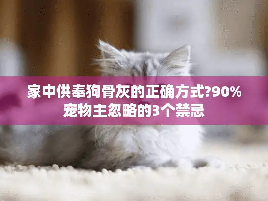 家中供奉狗骨灰的正确方式?90%宠物主忽略的3个禁忌