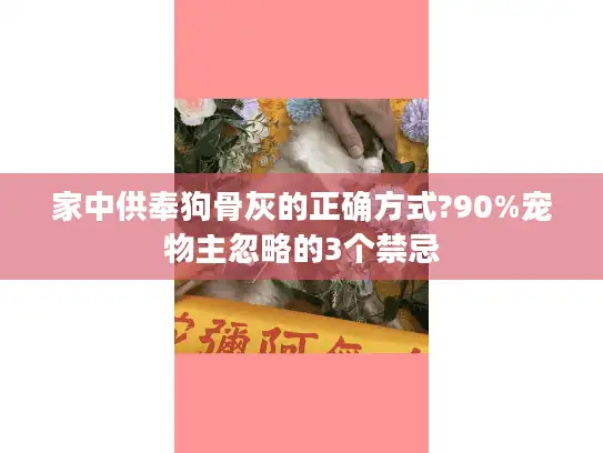 家中供奉狗骨灰的正确方式?90%宠物主忽略的3个禁忌