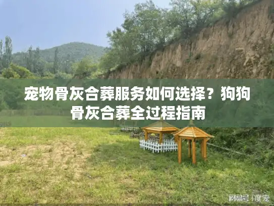宠物骨灰合葬服务如何选择？狗狗骨灰合葬全过程指南