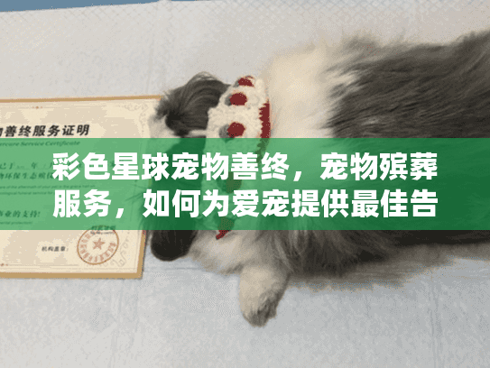 彩色星球宠物善终,宠物殡葬服务,如何为爱宠提供最佳告别? 彩色星球宠物善终,宠物殡葬服务,如何为爱宠提供最佳告别?