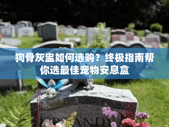 狗骨灰盅如何选购？终极指南帮你选最佳宠物安息盒