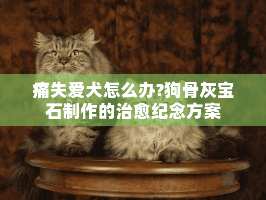 痛失爱犬怎么办?狗骨灰宝石制作的治愈纪念方案