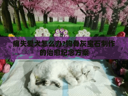 痛失爱犬怎么办?狗骨灰宝石制作的治愈纪念方案