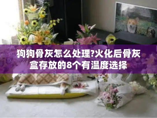 狗狗骨灰怎么处理?火化后骨灰盒存放的8个有温度选择