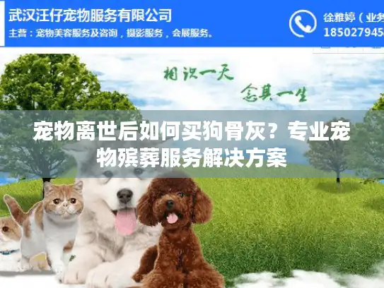 宠物离世后如何买狗骨灰?专业宠物殡葬服务解决方案 宠物离世后如何买狗骨灰?专业宠物殡葬服务解决方案
