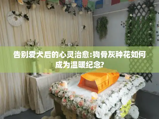 告别爱犬后的心灵治愈:狗骨灰种花如何成为温暖纪念?