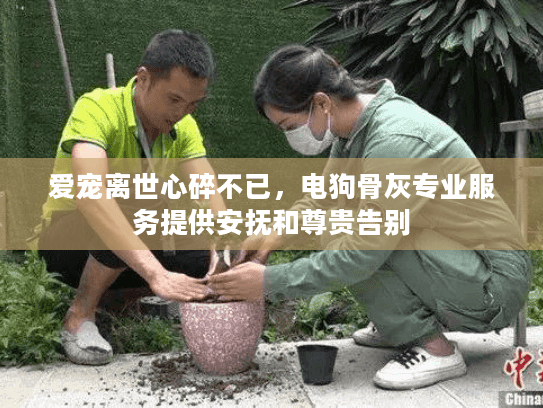 爱宠离世心碎不已,电狗骨灰专业服务提供安抚和尊贵告别 爱宠离世心碎不已,电狗骨灰专业服务提供安抚和尊贵告别