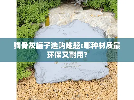 狗骨灰罐子选购难题:哪种材质最环保又耐用?
