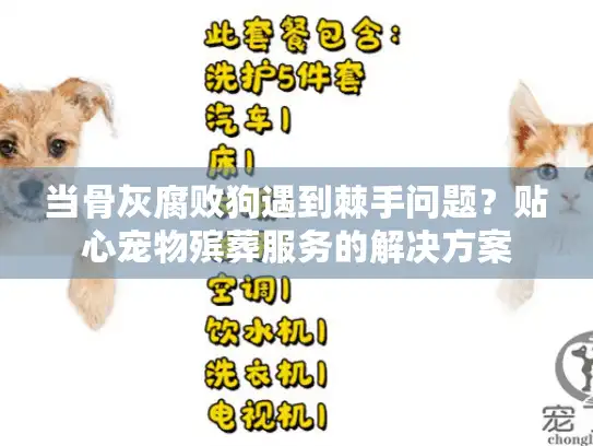 当骨灰腐败狗遇到棘手问题？贴心宠物殡葬服务的解决方案