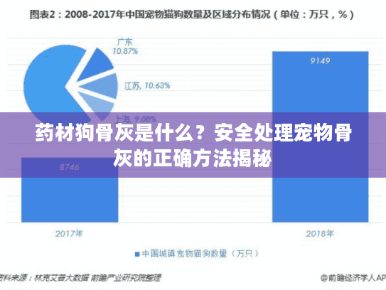 药材狗骨灰是什么？安全处理宠物骨灰的正确方法揭秘