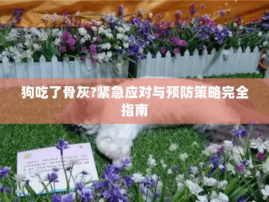 狗吃了骨灰?紧急应对与预防策略完全指南