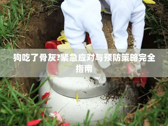 狗吃了骨灰?紧急应对与预防策略完全指南